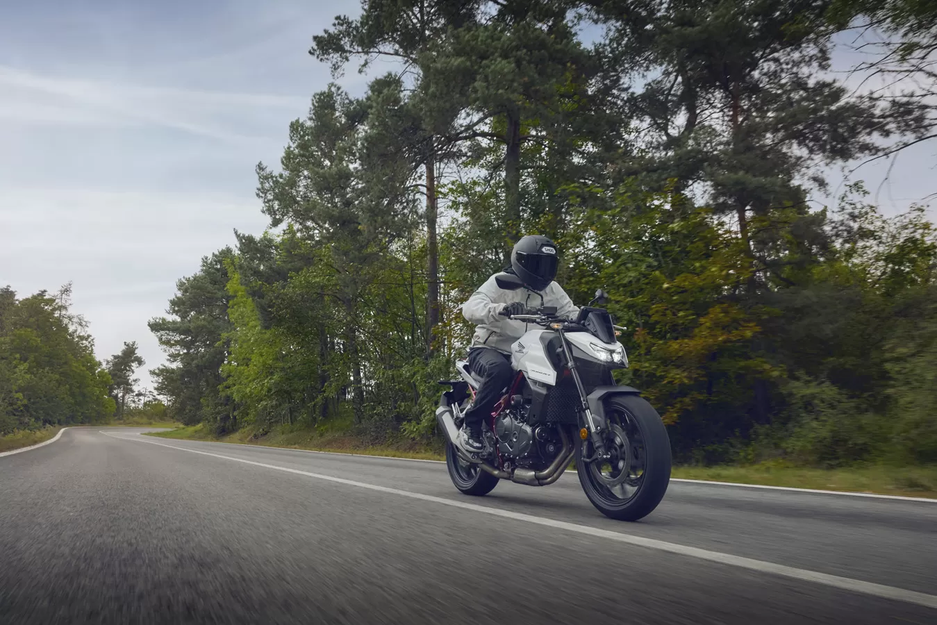 2025 Honda CB750 Hornet in Newcastle